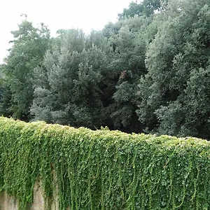 Un'angolo Incantato Apartment Florence