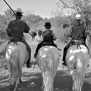 Mas Du Menage En Camargue Manade Clauzel 4*, Les Saintes-Maries-de-la-Mer France