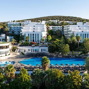 & Otel